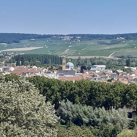 Victorine Avenue De Champagne Lägenhet
