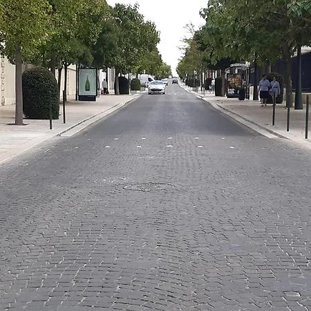 Lägenhet Victorine Avenue De Champagne *